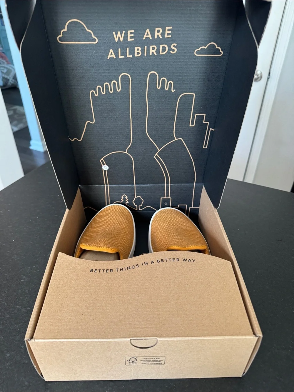 NWT Men’s Allbirds Tree Loungers 🔟
